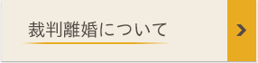 裁判離婚について