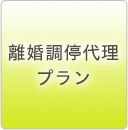 離婚調停代理プラン