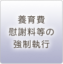 養育費、慰謝料等の強制執行