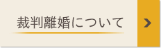 裁判離婚について