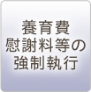 養育費、慰謝料等の強制執行